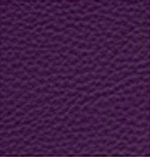 Bezug FANTASY Purple
